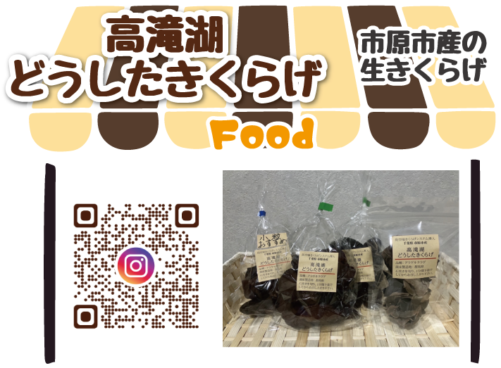 高滝湖どうしたきくらげ